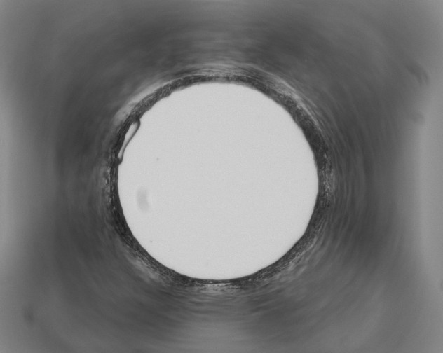 X0000112541304200909281051
