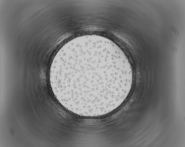 X0000112541305200909281051