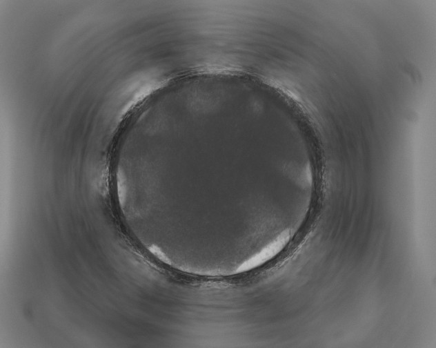 X0000112541306200909281051