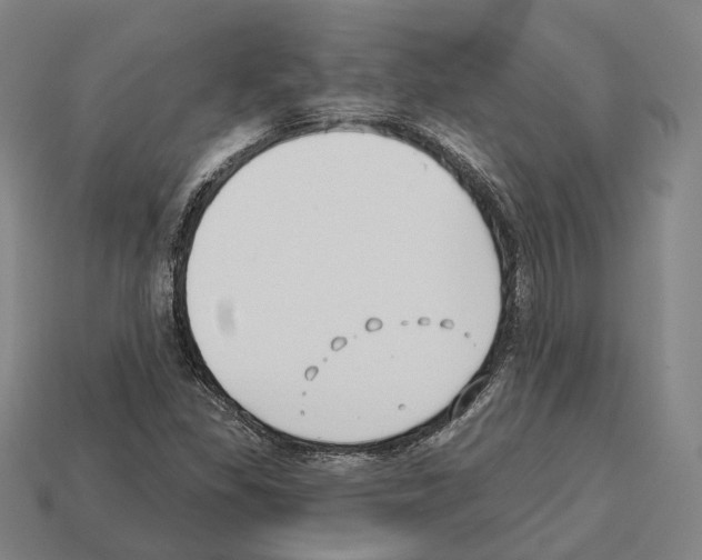 X0000112541309200909281051