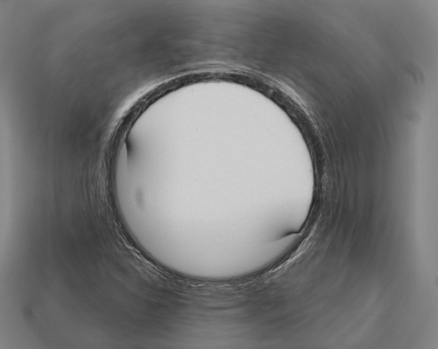 X0000112541310200909281051