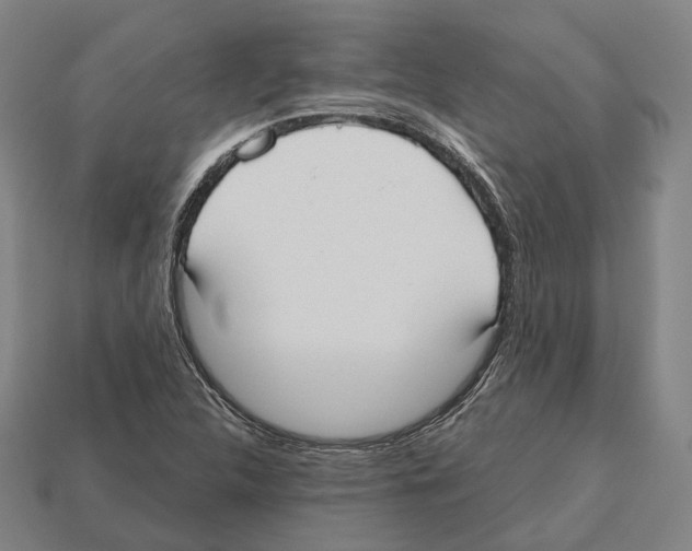 X0000112541312200909281051
