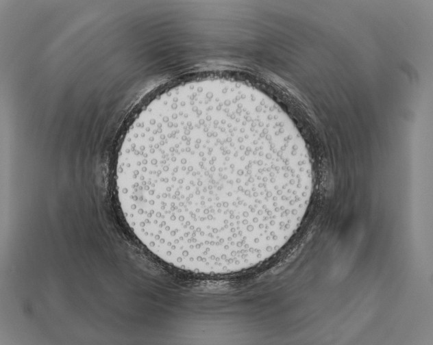 X0000112541313200909281051
