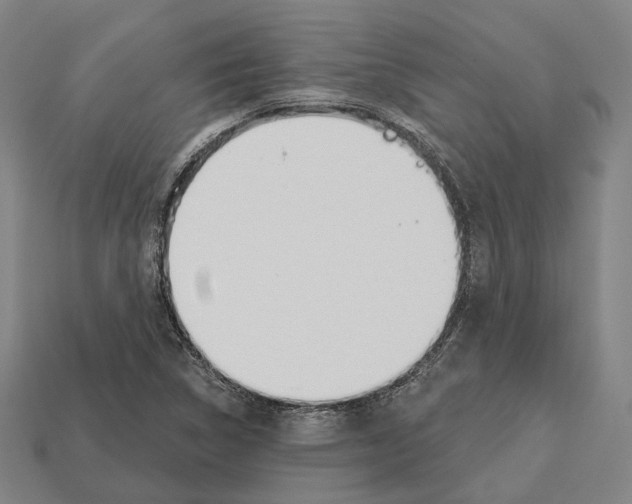 X0000112541314200909281051