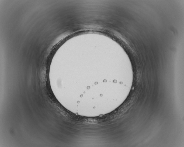 X0000112541315200909281051