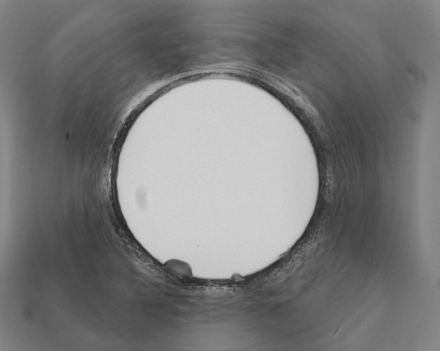 X0000112541316200909281051