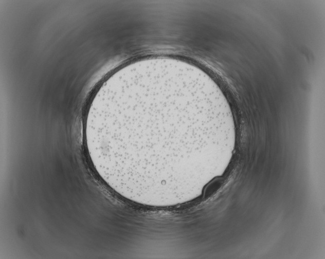 X0000112541317200909281051