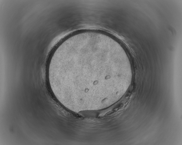 X0000112541319200909281051