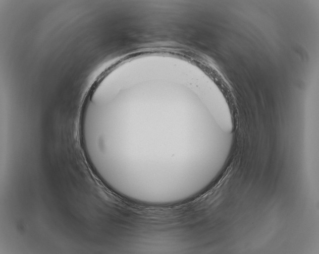 X0000112541320200909281051