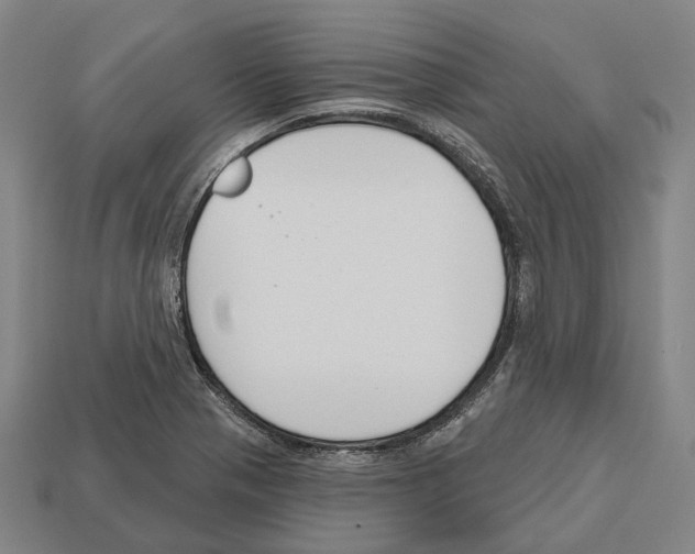 X0000112541321200909281051