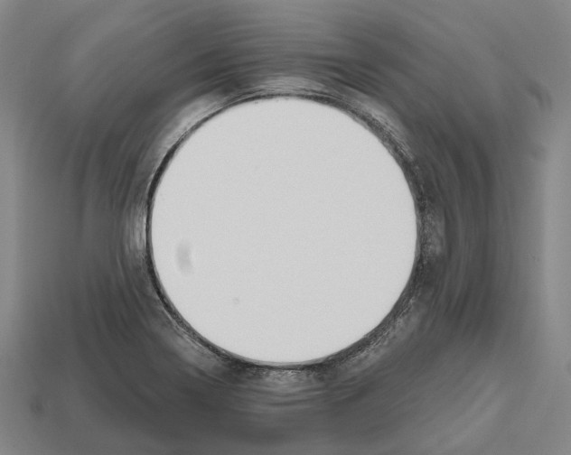 X0000112541322200909281051