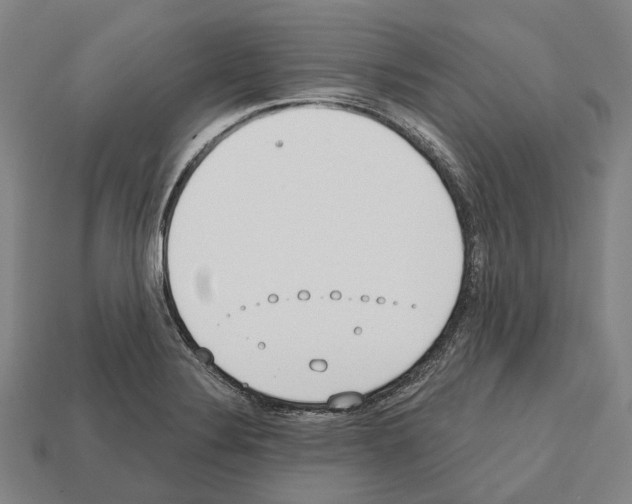 X0000112541324200909281051
