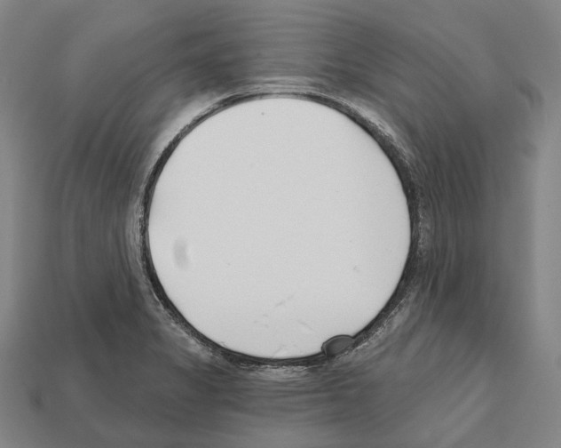 X0000112541325200909281051