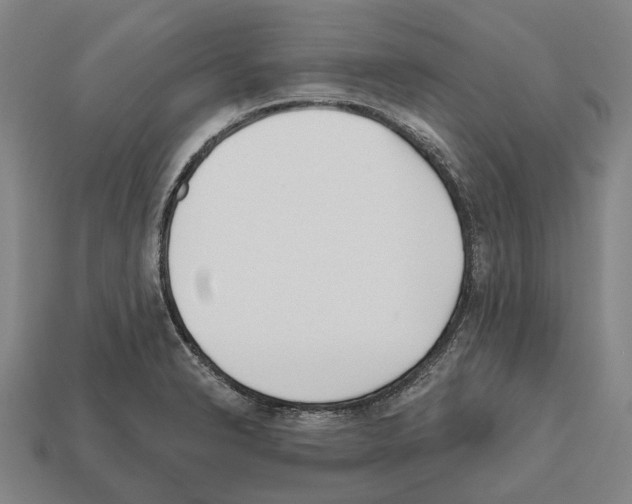 X0000112541326200909281051