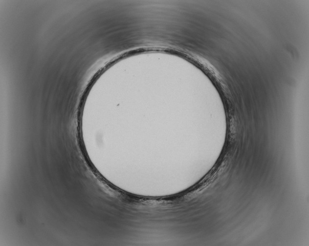 X0000112541327200909281051