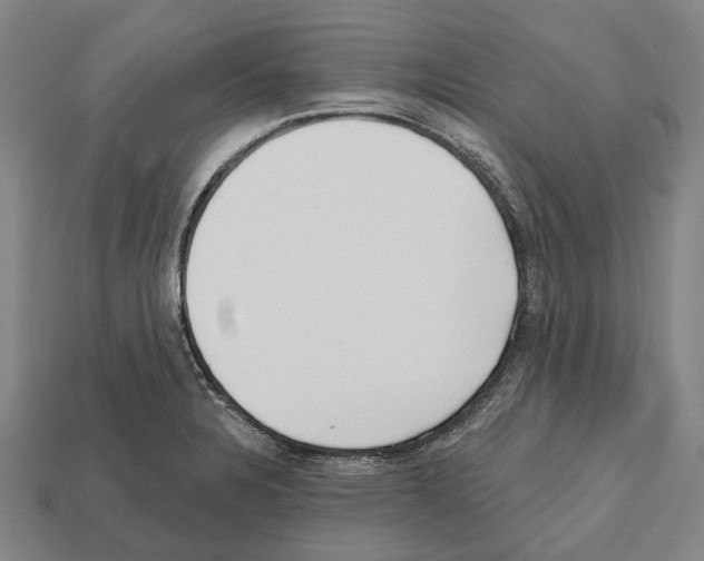 X0000112541328200909281051