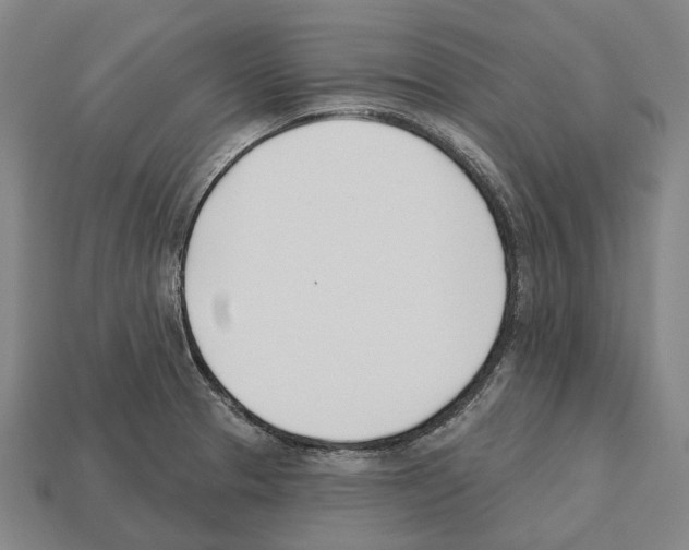 X0000112541329200909281051