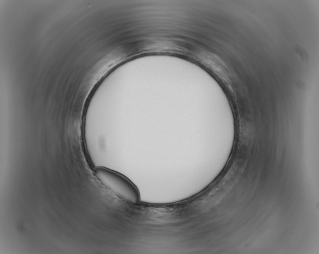 X0000112541330200909281051