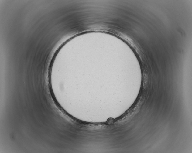 X0000112541331200909281051
