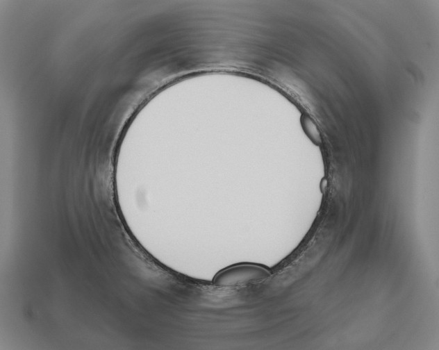 X0000112541332200909281051