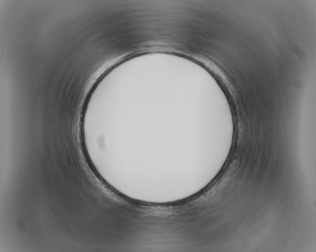X0000112541333200909281051