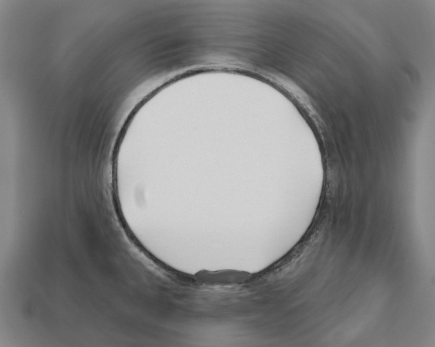 X0000112541335200909281051