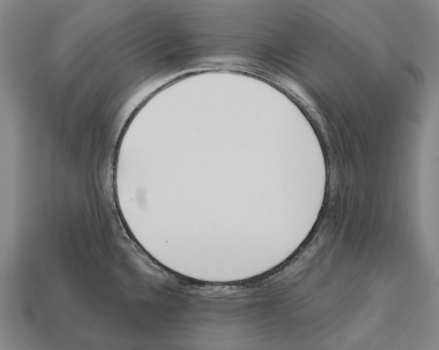X0000112541336200909281051