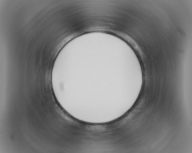X0000112541337200909281051