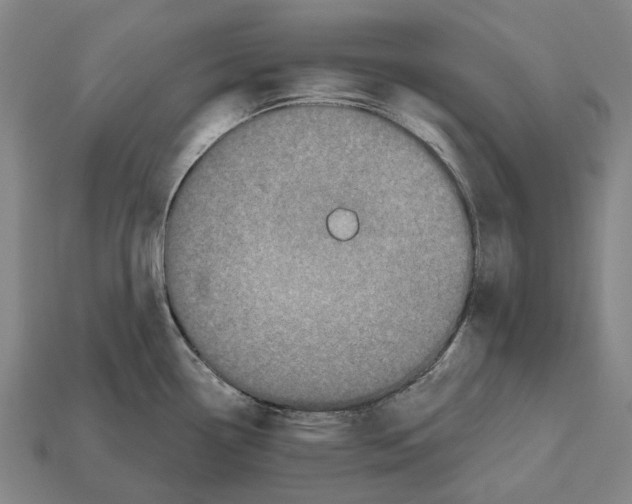 X0000112541338200909281051