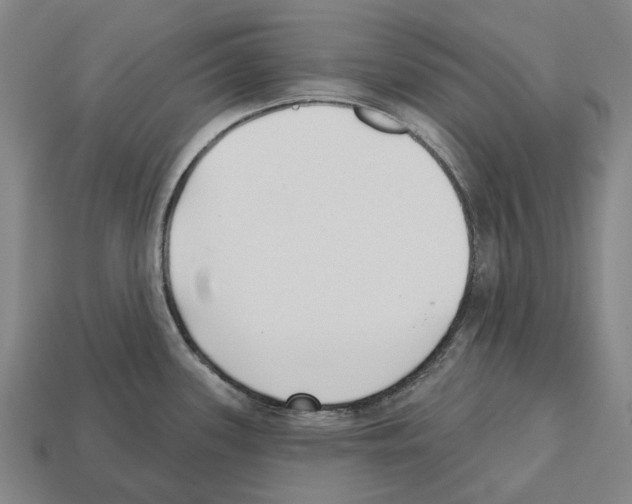 X0000112541339200909281051