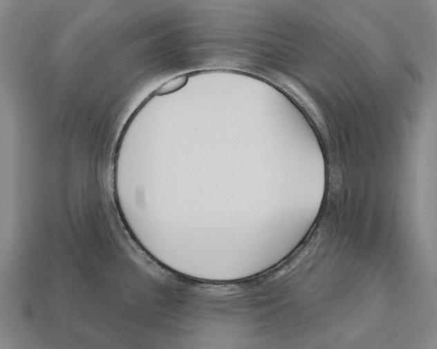 X0000112541340200909281051
