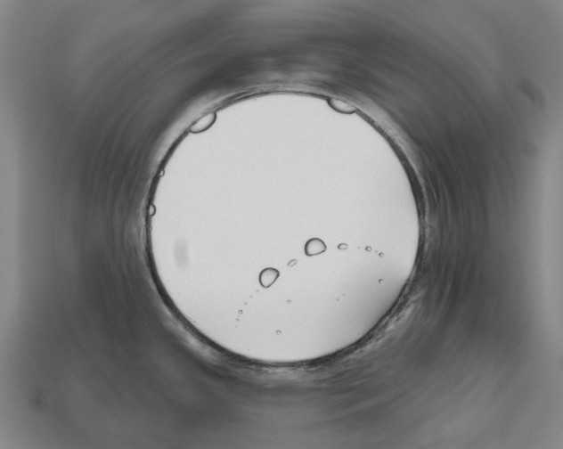 X0000112541341200909281051