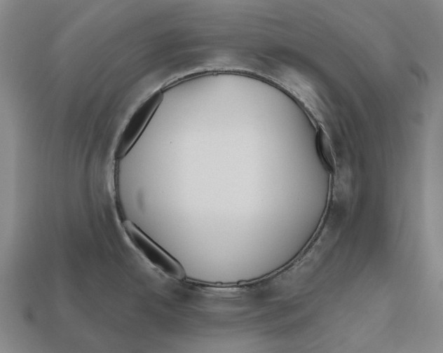 X0000112541342200909281051