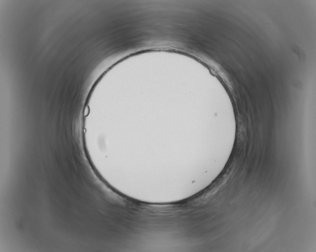 X0000112541343200909281051