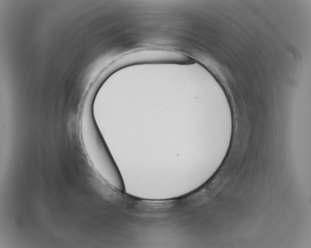 X0000112541344200909281051