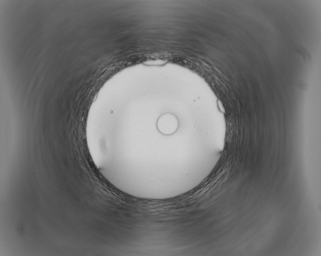 X0000112541345200909281051