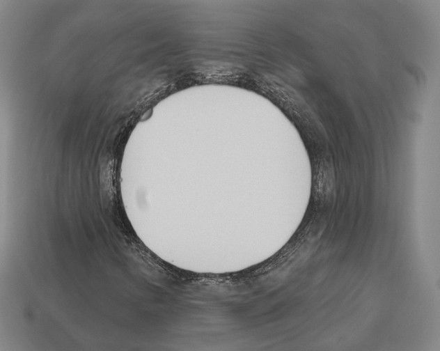 X0000112541346200909281050