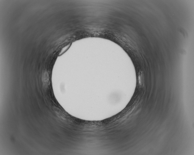 X0000112541347200909281050