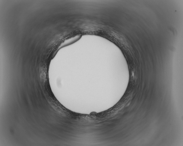 X0000112541348200909281050