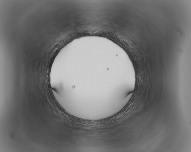X0000112541349200909281050