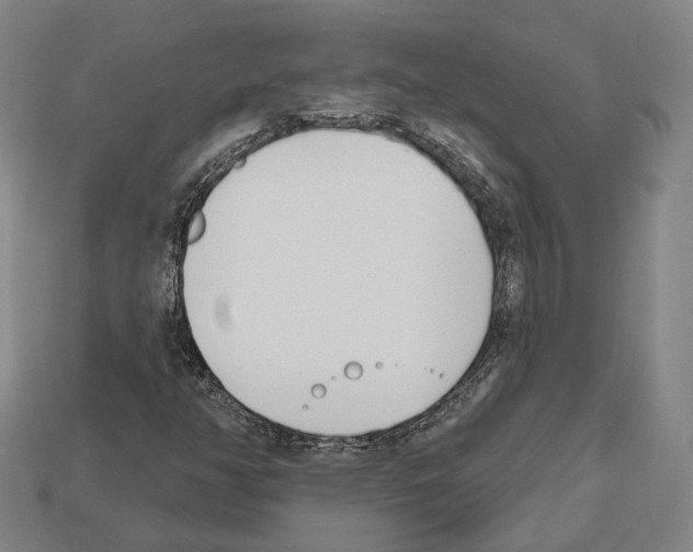 X0000112541350200909281050