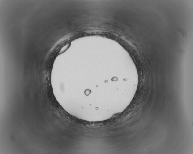 X0000112541351200909281050