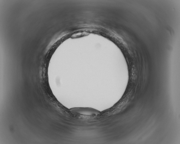 X0000112541352200909281050