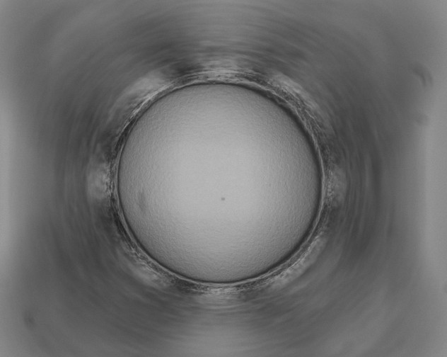 X0000112541353200909281050