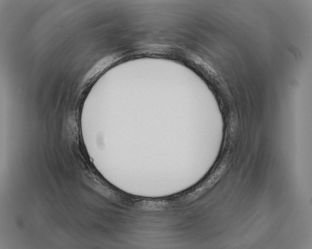 X0000112541354200909281050