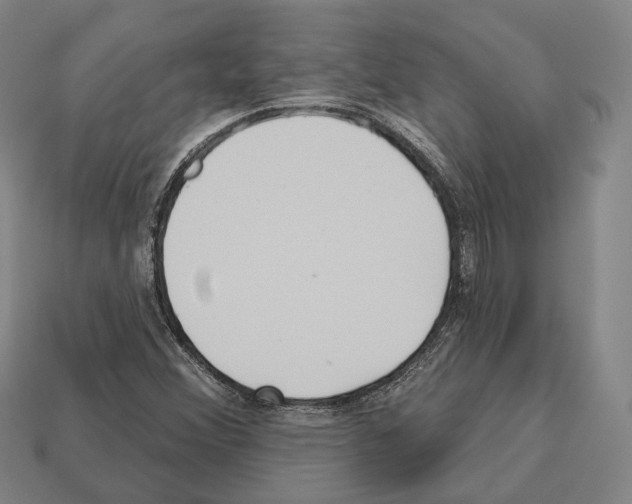 X0000112541356200909281050