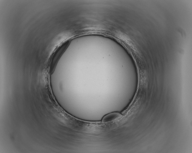 X0000112541357200909281050