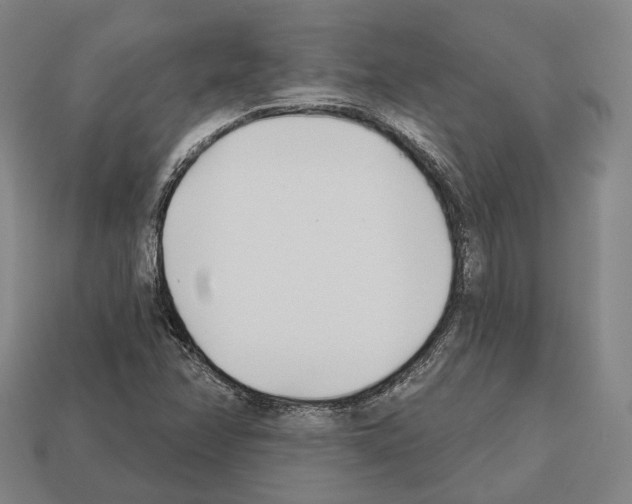 X0000112541358200909281050