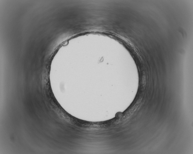 X0000112541359200909281050