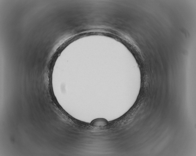 X0000112541360200909281050